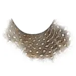 Kalentin Pestañas En Banda Fantasía New Orleans